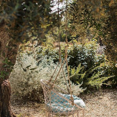 Fikus - The Apulian B&B Ceglie Messapica Zewnętrze zdjęcie