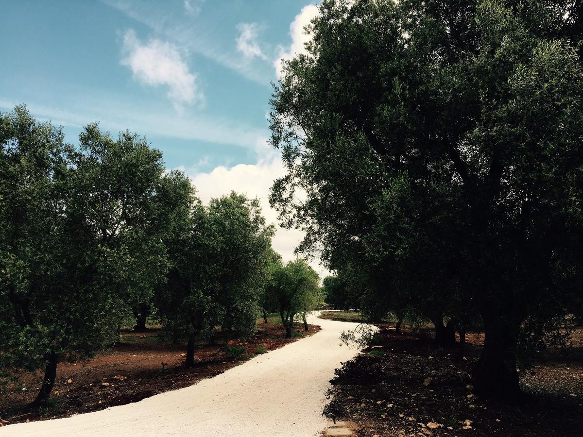 Fikus - The Apulian B&B Ceglie Messapica Zewnętrze zdjęcie