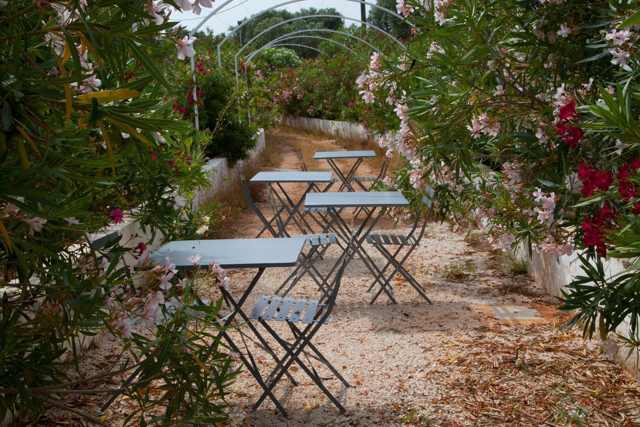 Fikus - The Apulian B&B Ceglie Messapica Zewnętrze zdjęcie